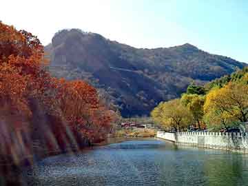 新澳天天开奖资料大全旅游团，苗山火灸贴